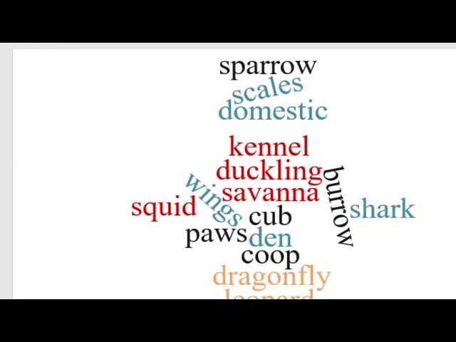 Online Class - Teaching with Word Cloud