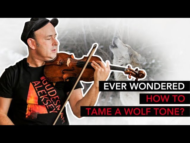 WOLF TONE on your STRINGS? This is what you need to know!