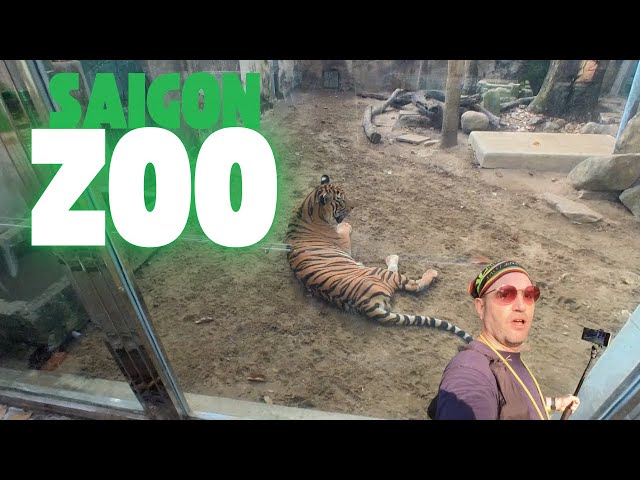 Did you know VIETNAM has a Costco?  PLUS 100 YEAR OLD ZOO  🇻🇳 @fatandbroke