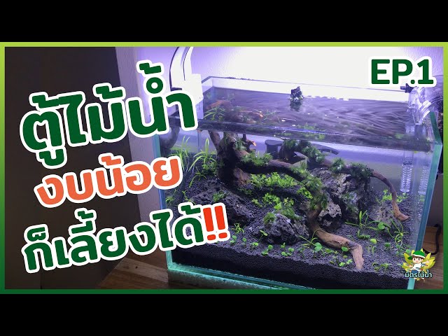 ตู้ไม้น้ำ งบน้อยก็เลี้ยงได้ Ep.1 | HOBBYFISH