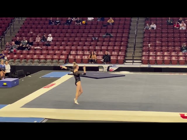 Level 10 Floor Routine (9.675)