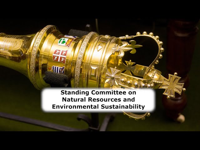 Standing Committee on Natural Resources and Environmental Sustainability - February 13th, 2025