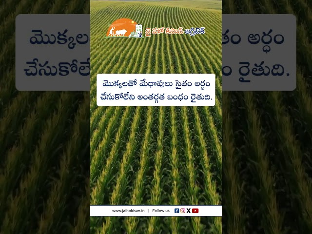 jhk farmer quote | Motivational quotes telugu | inspirational quotes @JaiHoKisan​