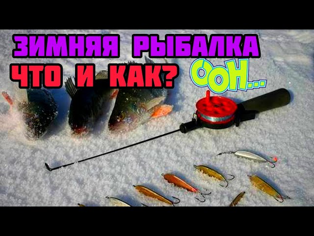 Окунь на БАЛАНСИР 🐟 ЗИМНЯЯ РЫБАЛКА 🥶🥶🥶-50