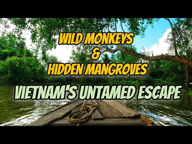 Can Gio Island Vietnam 2015: From Monkeys to Mangroves – A Wild Trip into the Jungle #travel #asia