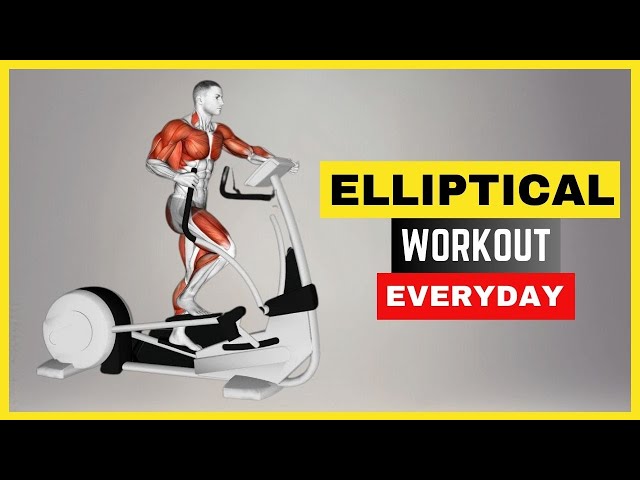 What Happens To Your Body When You Do The Elliptical Training Everyday For 30 Minutes