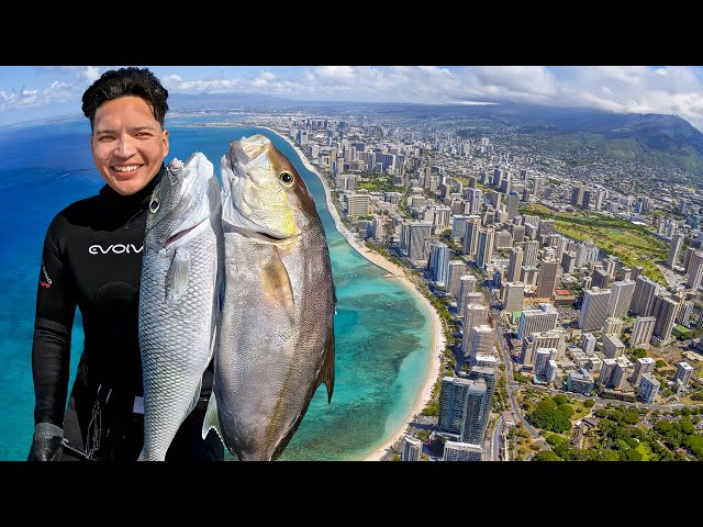 4 Days Exploring & Spearfishing Hawaii's Largest City