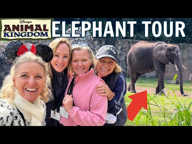 MOM'S DAY AT DISNEY | BTS with Elephants at Disney's Animal Kingdom