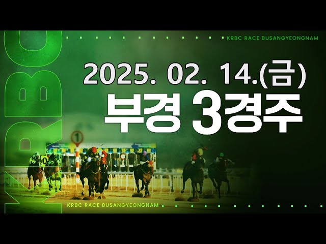 (부산) 2025.02.14 3경주