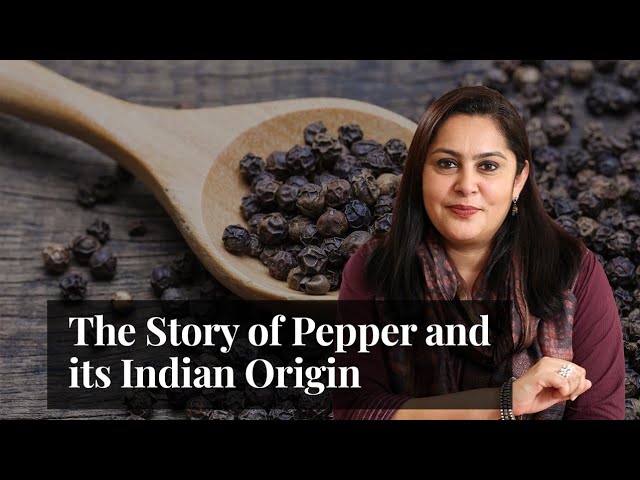 History of Pepper | Stories that Make India | India's Spice Trade | Where Pepper Came From