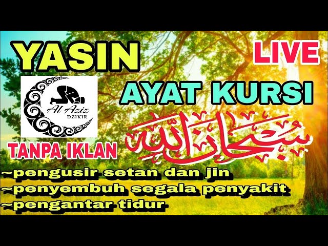 Yasin dan Ayat Kursi Merdu, Al Fatihah Al ikhlas Al Falaq An Nas Beautiful Recitation / Ayatul Kursi