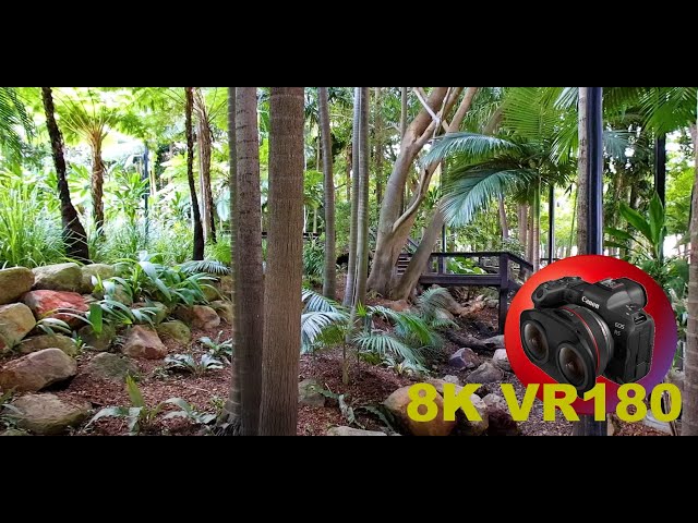 RAINFOREST IN HEART OF CITY Southbank in Brisbane 8K/4K VR180 3D (Travel Videos/ASMR/Music)