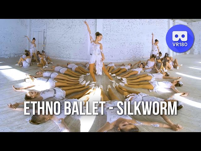 VR180 3D.  Ethno Ballet 17 - Silkworm