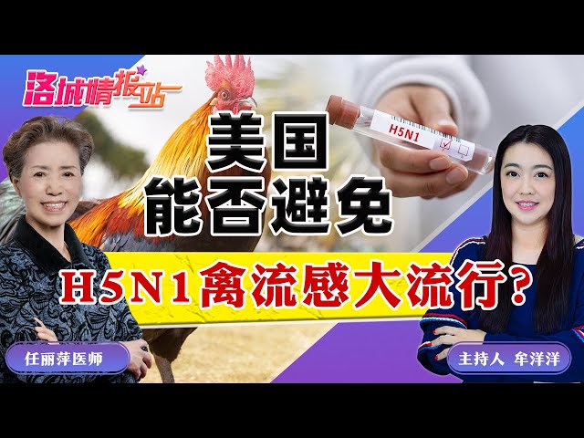 美国能否避免H5N1禽流感大流行？《洛城情报站》2024.12.20