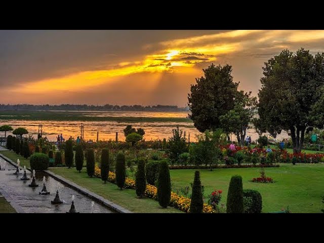 NISHAT BAGH SRINAGAR KASHMIR INDIA🌹|MOST AMAZING GARDEN IN KASHMIR