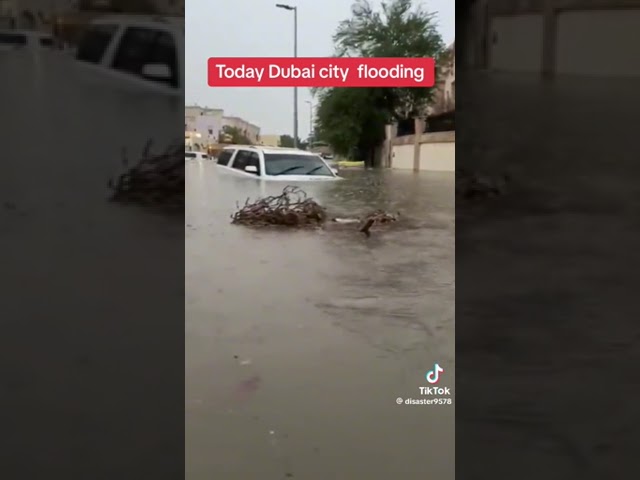 Al ain flood 12 february2024