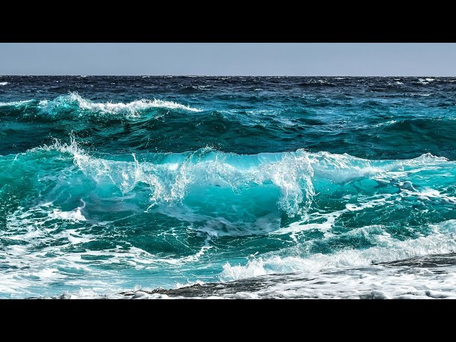 🌹Ocean Dreams & Best Relaxing Instrumental Music for Sleeping - Stress Relief, Deep Sleep, Calming