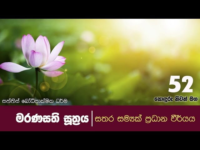 sonduru niwan maga 52 |  මරණසති සූත්‍රය | Shraddha TV