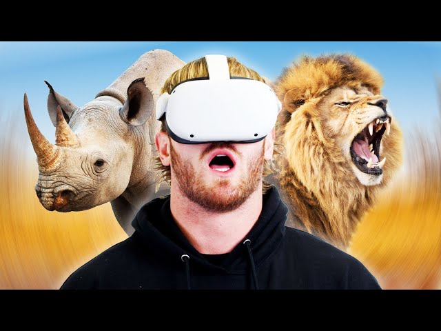 Logan Paul | 180° VR In South Africa