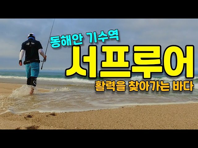 서프루어 / 동해안 해변 루어 낚시 / Surf lure fishing / 서프 루어 낚시 시즌 / 기수역 서프루어 / 기수역 까치복