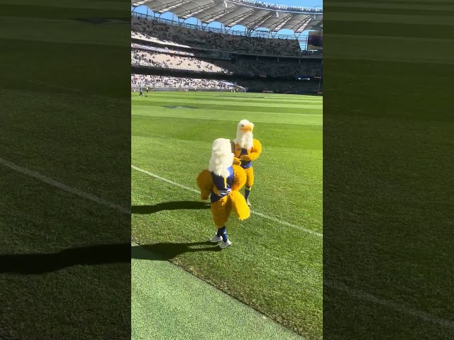 Rick and Rosie flips at Pre-Match | AFL Round 18 2023: West Coast Eagles v Richmond Tigers