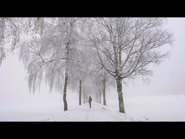 Walking in a Winter Wonderland | Switzerland