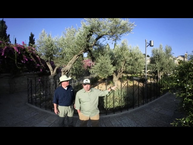 Appian Media Garden of Gethsemane 360 Tour