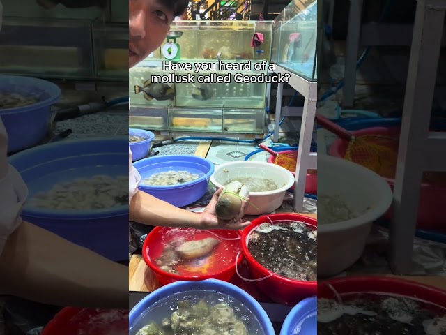 Have you heard of a mollusk called Geoduck? #travel #tourism #seafood #nightmarket