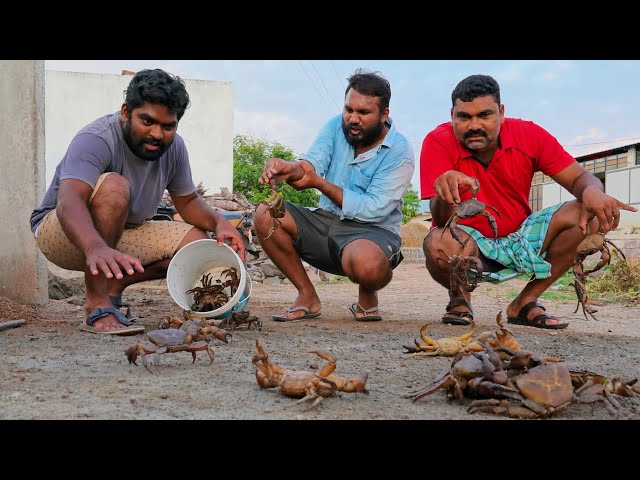 Village crabs hunt | My Village Show Comedy