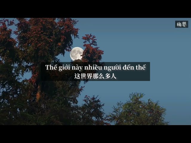 [Vietsub+Pinyin] Thế giới này nhiều người đến thế - Mạc Văn Uý | 《这世界那么多人》莫文蔚 ｜ 𝑬𝒎𝒑𝒕𝒚 𝒘𝒐𝒓𝒍𝒅~