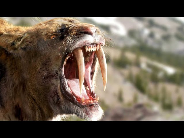 EXTINCT Animals You Probably Never Heard Of ! Prehistoric predators