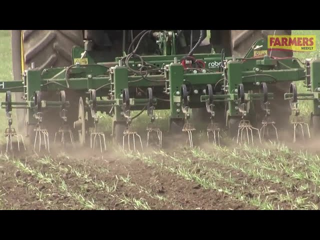 How a Dorset grower uses a Garford inter-row hoe to weed his cereal crops