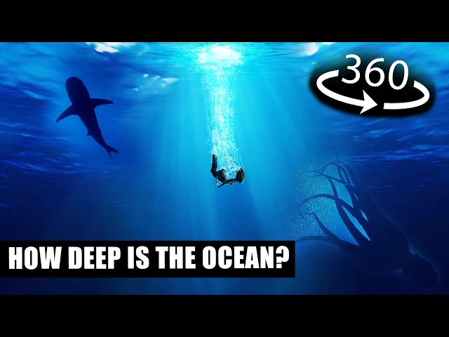 360° Diving to the DEEPEST point in the Ocean! VR