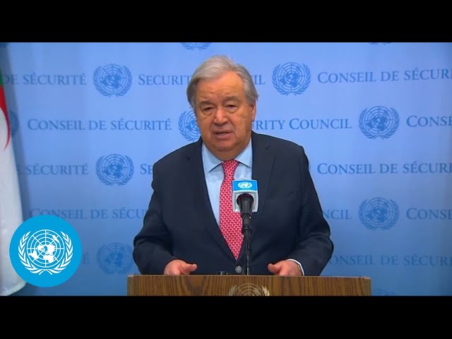 UN Chief on DRC - Security Council Media Stakeout | United Nations