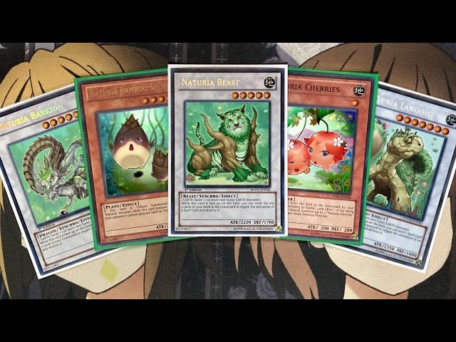 My Naturia Yugioh Deck Profile for March 2022