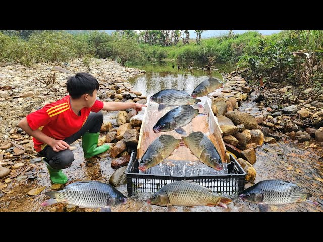 The boy Lam used a wooden slide to catch fish in the stream. And caught many big fish.