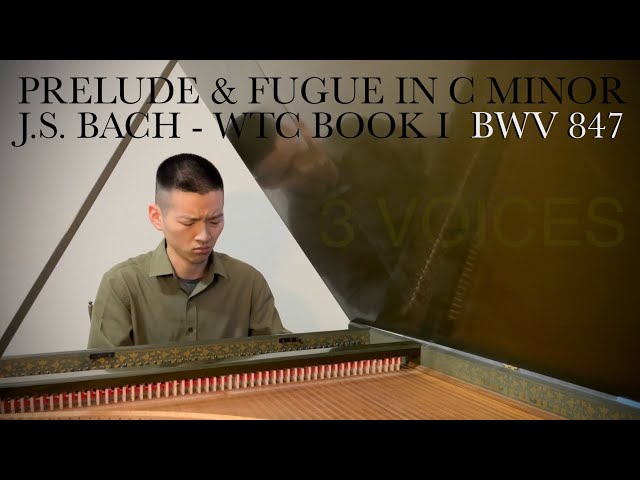 Bach: Fugue in C Minor - Fugue (BWV 847) Solo Performance by Broque Musician