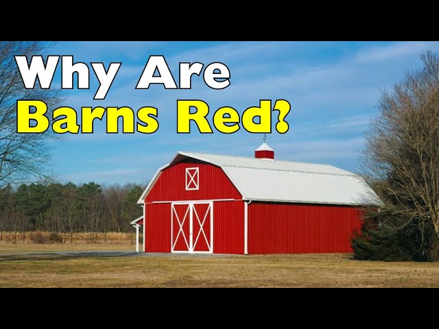 Why Are Barns Red?