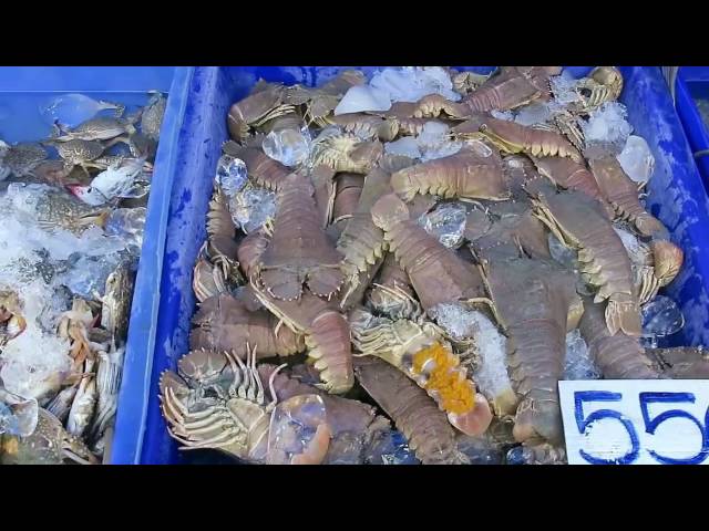 Best Thailand Street Food - Thai Fish Markets - Bangkok Street Food