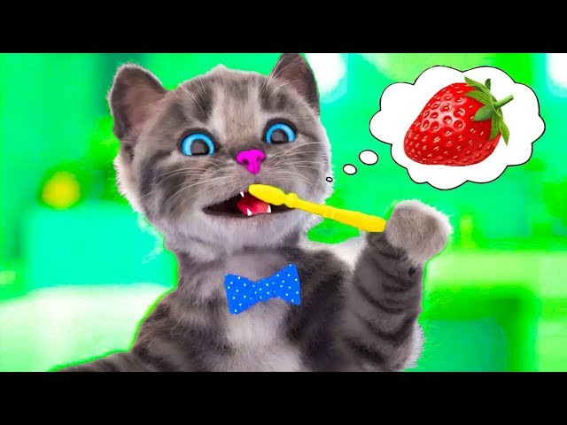 PLAYFUL LITTLE KITTEN ADVENTURE SPECIAL - FUN LITTLE KITTEN AND HIS ADVENTURE SPECIAL LONG JOURNEY