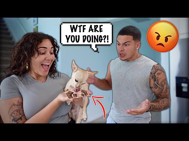 FEEDING OUR DOG CHOCOLATE TO SEE MY BOYFRIEND'S REACTION!!