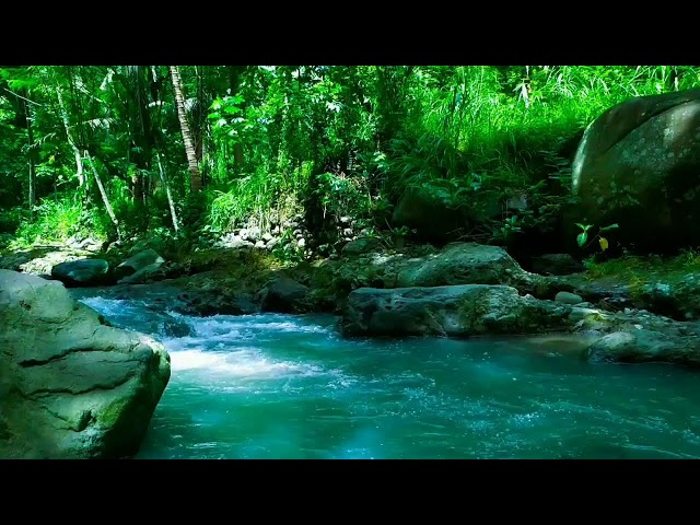 Beautiful water sounds in the forest , relaxing nature sounds, sleeping music for deep sleeping