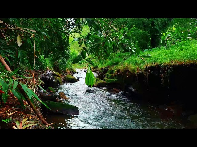 Relaxing River Sound for Meditation & Mindfulness