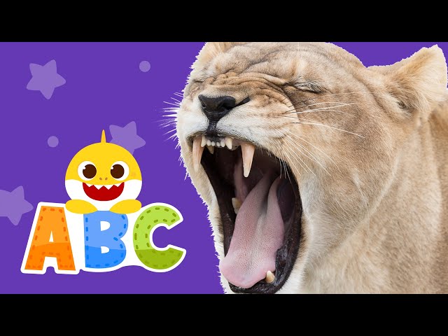 Learn ABCs with Baby Shark | Learn Animals | ABC Song | Baby Shark ABC for kids