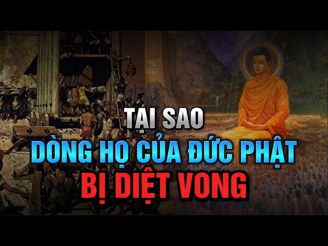 Vì sao DÒNG TỘC THÍCH CA MÂU NI BỊ DIỆT VONG - Đức Phật cũng không thể cứu được?