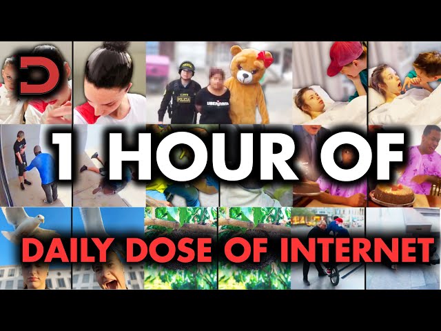 One Hour of Daily Dose Of Internet | NEW 2025 (One Intro Only)