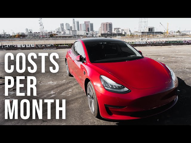 How Much I Pay For Tesla Insurance | How Much Does Tesla Insurance Cost? 2021