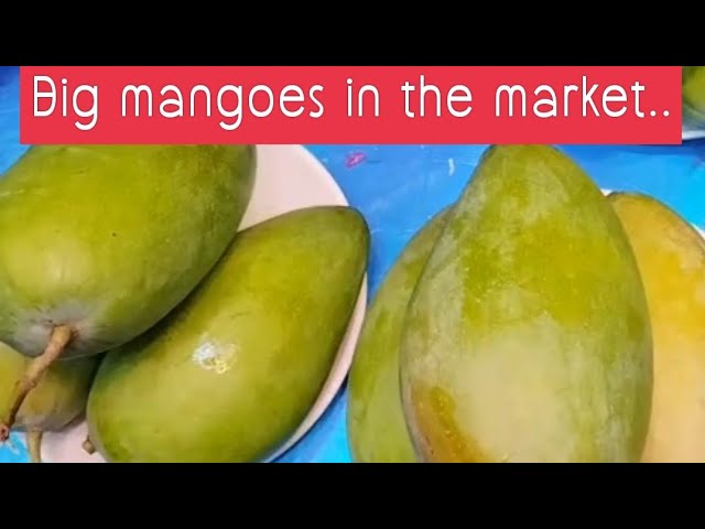 Grace Len TV is live! Live Update. Big mangoes in the market. Thanks for your support guys!