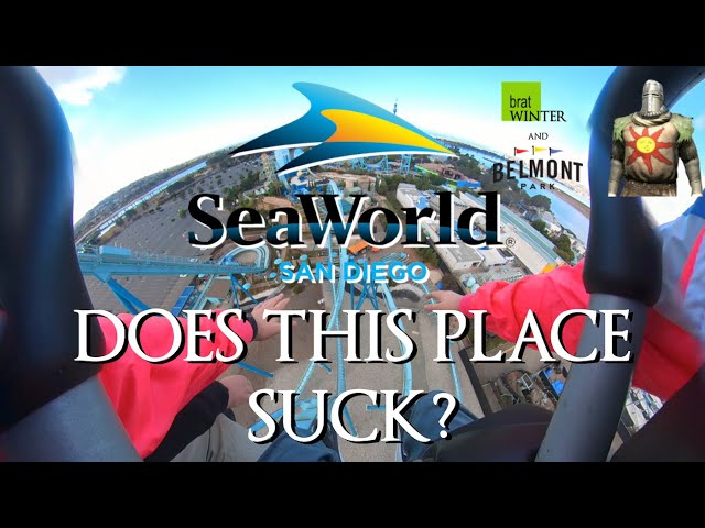 My Day At SeaWorld San Diego (and Belmont Park Brat winter edition)