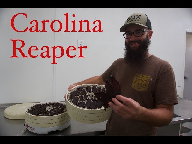 How to Make DEER Jerky! (It's easy!)